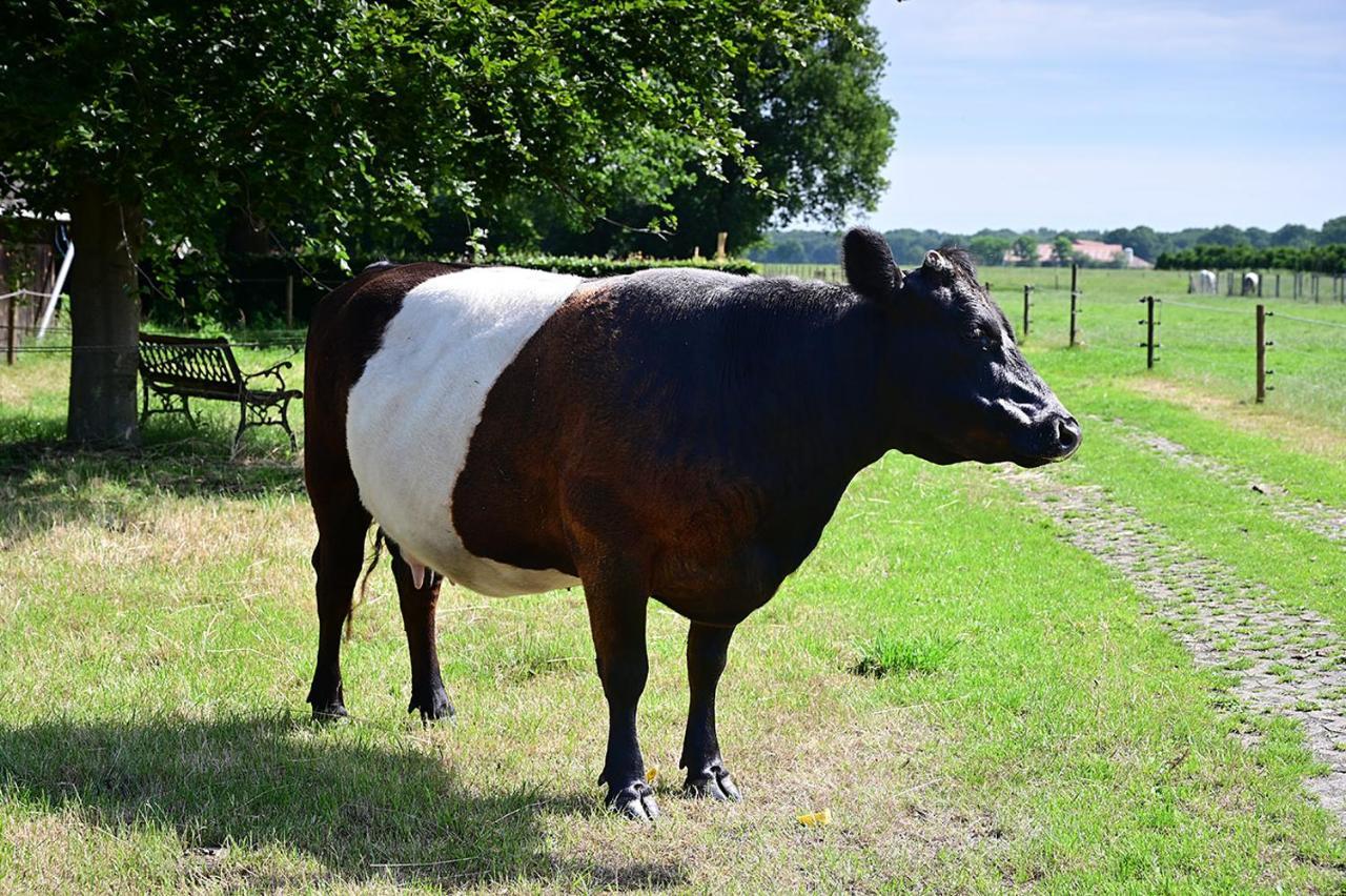 De Lakenvelder B&B Eersel Luaran gambar